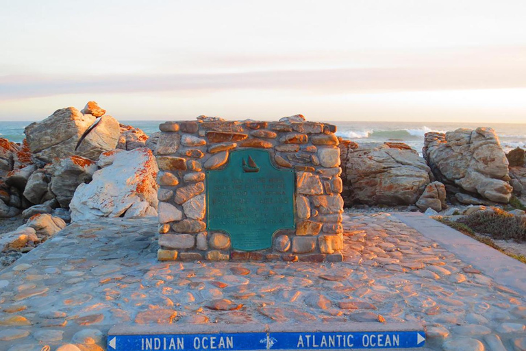 Au départ du Cap : 4 jours d'excursion de luxe sur la Route des jardins