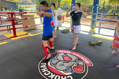 Chiangmai: Basic Muay Thai Experience with Training Session
