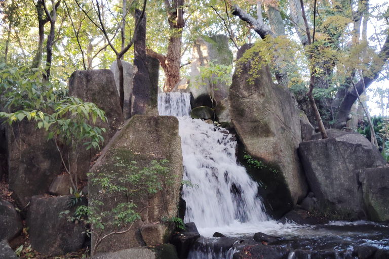Nagoya: Exploring the Beauty of Tokugawa-en Garden