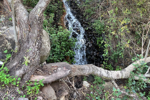 Gran Canaria: excursie naar de Barranco de los CernícalosGran Canaria: trip naar de Barranco de los Cernícalos