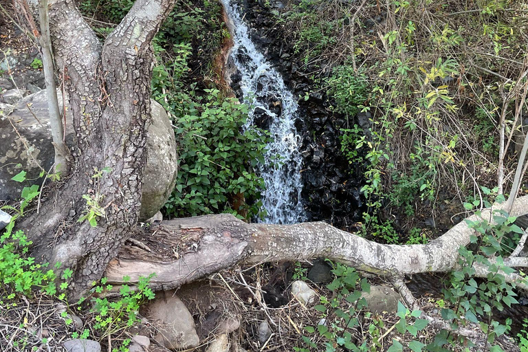 Gran Canaria: excursie naar de Barranco de los CernícalosGran Canaria: trip naar de Barranco de los Cernícalos