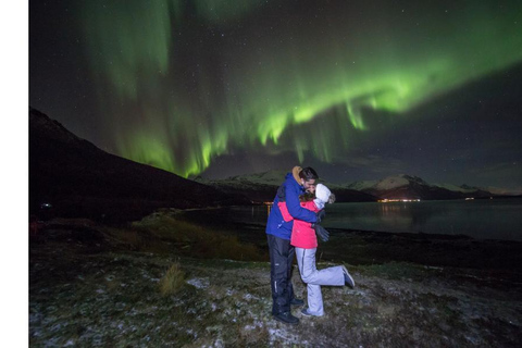 Tromsö: Norrsken stor bussjakt med gratis foton