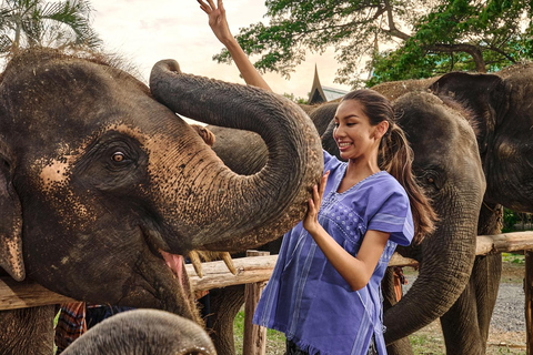 Bangkok Elephant Park: Meio dia de cuidados com elefantesHD Elephant Care com serviço de busca no hotel e traslado de ida e volta (particular)