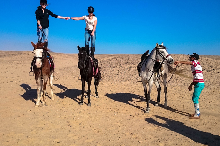 From Hurghada: Makadi Bay Horse Riding Tour