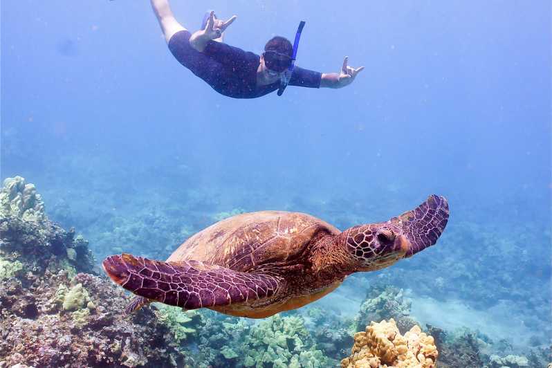 molokini and turtle town snorkel tour with lunch