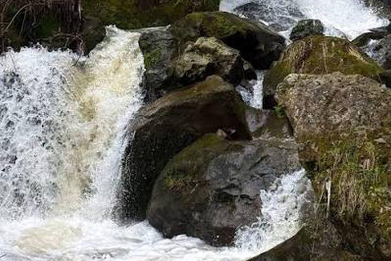 From Batumi: Best of Adjara –Waterfalls, History & Coastline