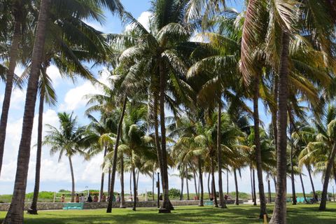 Miami Beach : 1 heure de Segway