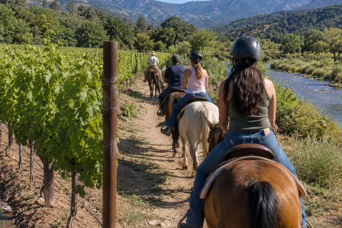 Sedona: Scenic Horseback Ride Through Arizona Wine Country