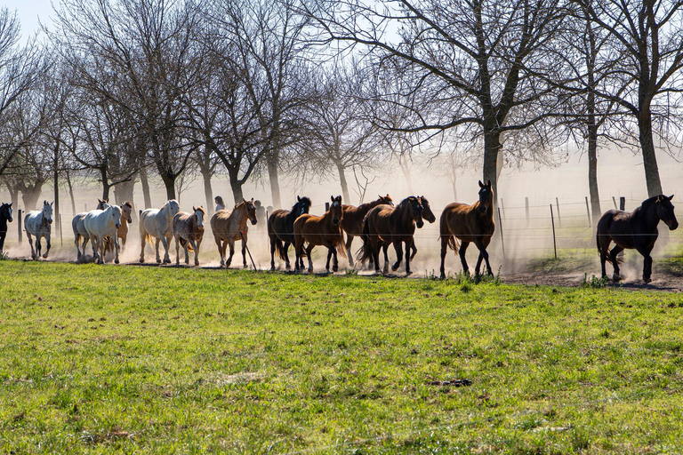 Dia Gaucho - Traditionell argentinsk estancia i utkanten av Buenos Aires