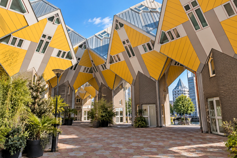 Rotterdam: Bizzare Architecture and Art Walking Tour