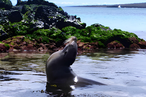 Isola Floreana: Tour delle Galapagos di un giorno intero con le Isole Incantate!