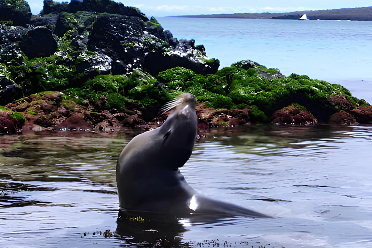 Île de Floreana : excursion d&#039;une journée aux Galápagos avec les Îles Enchantées