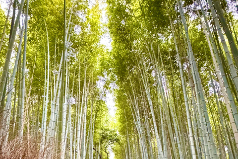 Kyoto: Vollständig anpassbare Halbtagestour durch die alte HauptstadtKyoto: Vollständig anpassbare Halbtagestour in der alten Hauptstadt