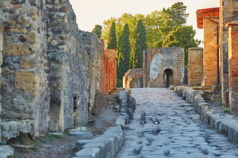 Pompeii Express: High-Speed Train from Rome