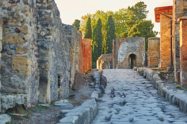 Pompeii Express: High-Speed Train from Rome