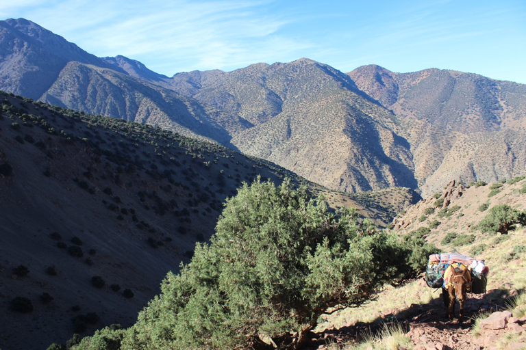 Day Trip to Imlil with Lunch in Berber House from Marrakech