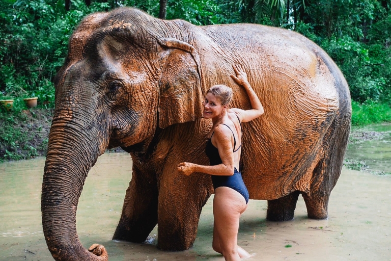 Krabi : Tour des points forts avec l'abri pour éléphants de Krabi