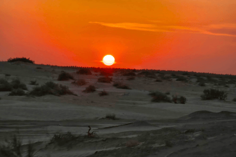 From Tunis: 10-Day Private Tunisia Adventure Tour