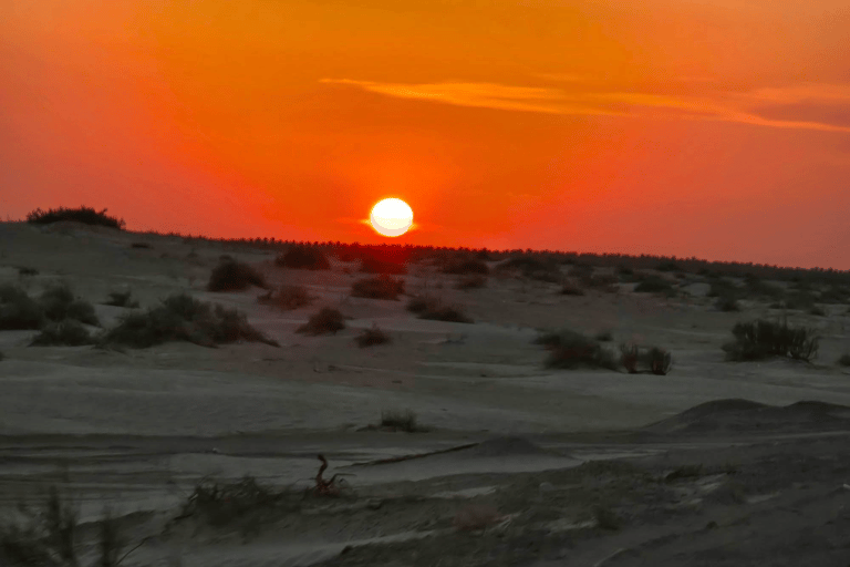 From Tunis: 10-Day Private Tunisia Adventure Tour