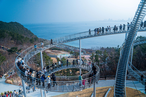 Cheongsong Ice Valley & Pohang Spacewalk Tour from Busan Busan Subway Station Exit 2