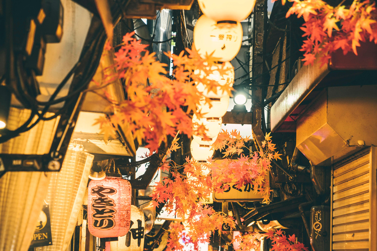 Nagoya: Nightlife Tour with Drinks and Food