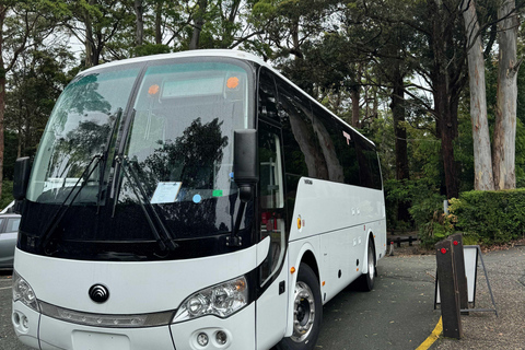 Hop on Hop off - Brisbane City - The Heart of Brisbane Brisbane City Loop + Tamborine Mountain Hop on Hop off