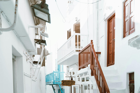 Exclusive Day Trip: Andros to Mykonos with Lunch