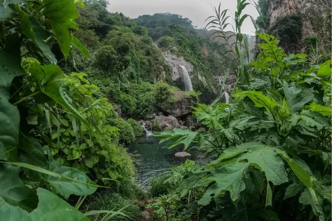 Nager dans des sources et des cascades luxuriantes à Guadalajara