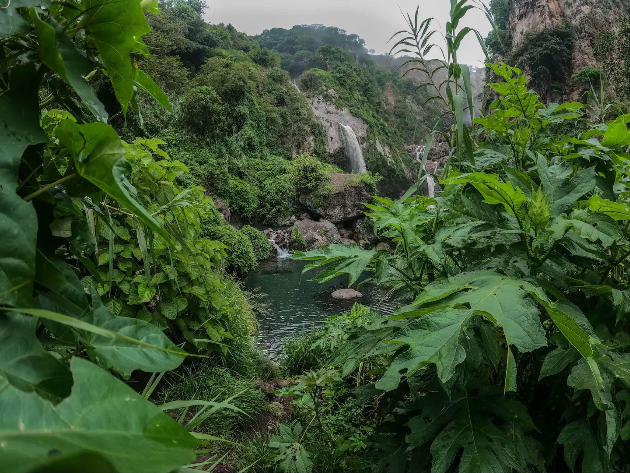 Schwimme in üppigen Quellen und Wasserfällen in Guadalajara