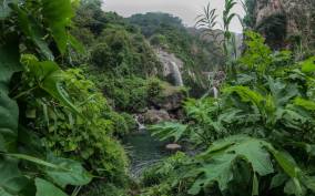 Visit lush springs and waterfalls near Guadalajara