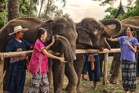 Bangkok Elephant Park: Meio dia de cuidados com elefantesHD Elephant Care com serviço de busca no hotel e traslado de ida e volta (particular)