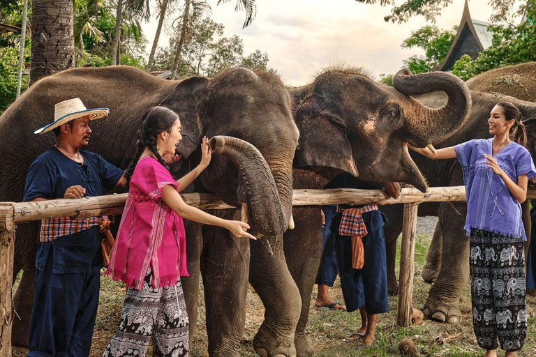 Bangkok Elephant Park: Meio dia de cuidados com elefantesHD Elephant Care com serviço de busca no hotel e traslado de ida e volta (particular)