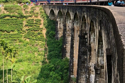 Ella: Ella Day Tour NineArch Bridge with Expert Female Guide Ella tour from Colombo, Negombo, Mt lavinia, Kalutara