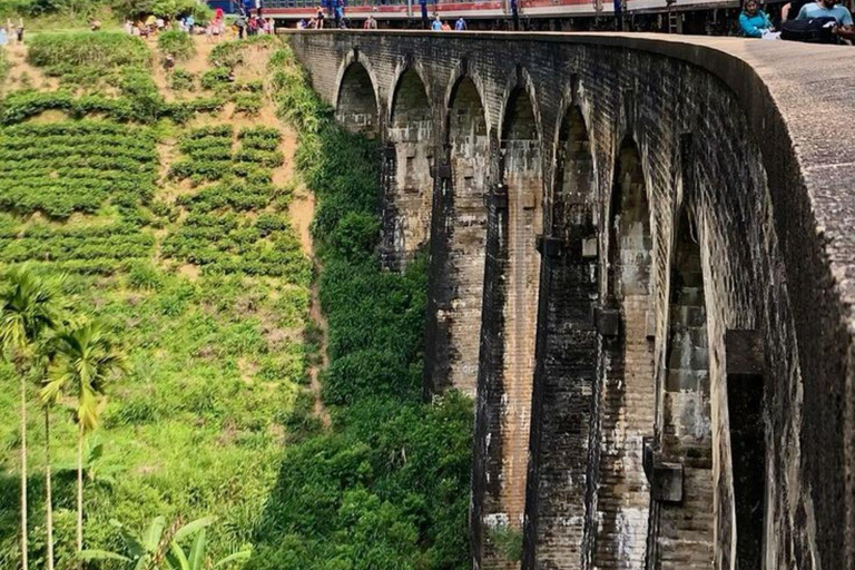 Ella: Ella Day Tour NineArch Bridge with Expert Female Guide Ella tour from Colombo, Negombo, Mt lavinia, Kalutara