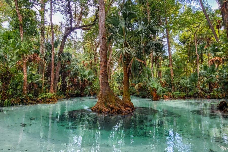 Florida: Emerald Cut Kayak Adventure Emerald Cut Kayak Adventure - Single Kayak