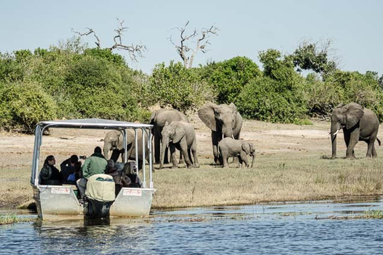 Von Victoria Falls: Tagestour zum Chobe-Nationalpark