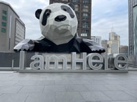 One-day tour to Dujiangyan Panda Valley. - Housity