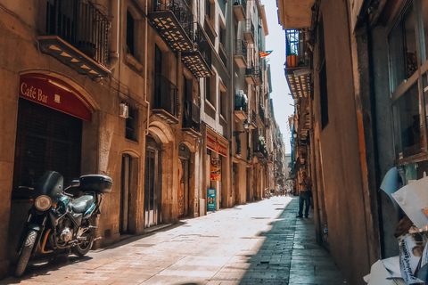 Barcelona: Introduction to the Gothic Quarter Walking Tour Private Tour (Max 20 Adults)