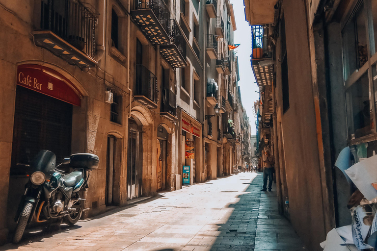 Barcelona: Introduction to the Gothic Quarter Walking Tour Private Tour (Max 20 Adults)