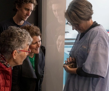 Rotorua: The National Kiwi Hatchery Kiwi Encounter Tour