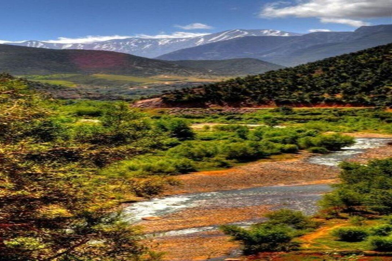 Marrakech à la vallée de l&#039;Ourika - Excursion d&#039;une journée avec déjeuner et cascadeExcursion d&#039;une journée panoramique de Marrakech à la vallée de l&#039;Ourika, déjeuner et ca