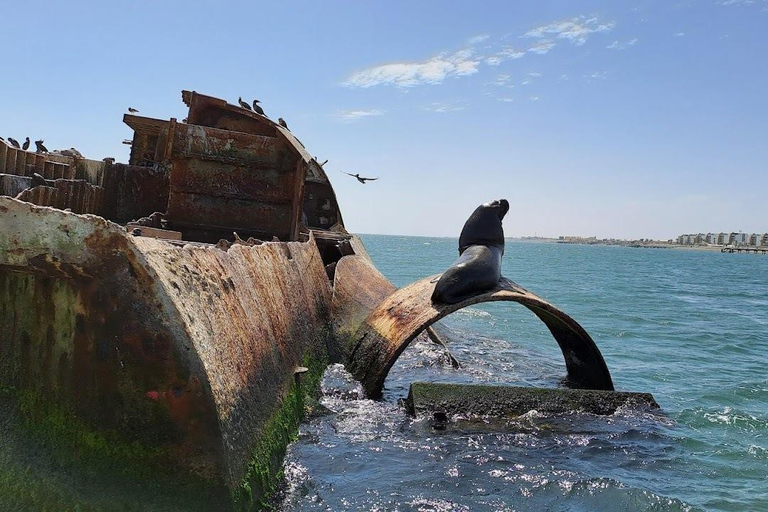 Lima: Trasferimento + Paracas + HuacachinaLima: Trasferimento + Paracas+ Huacachina