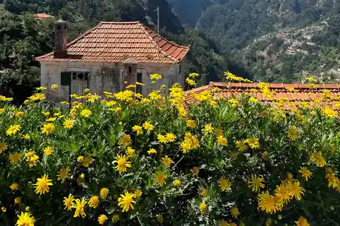 Funchal: Rundtur i Nunnornas dal med tuk tuk