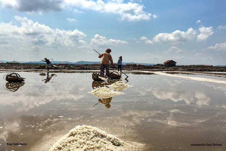 Escursione di un giorno a Kep Beach e Kampot da Phnom PenhEscursione di un giorno a Kep e Kampot con guida in inglese