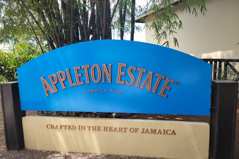 Tour della fabbrica di rum Appleton: Prelievo da Montego Bay e Falmouth