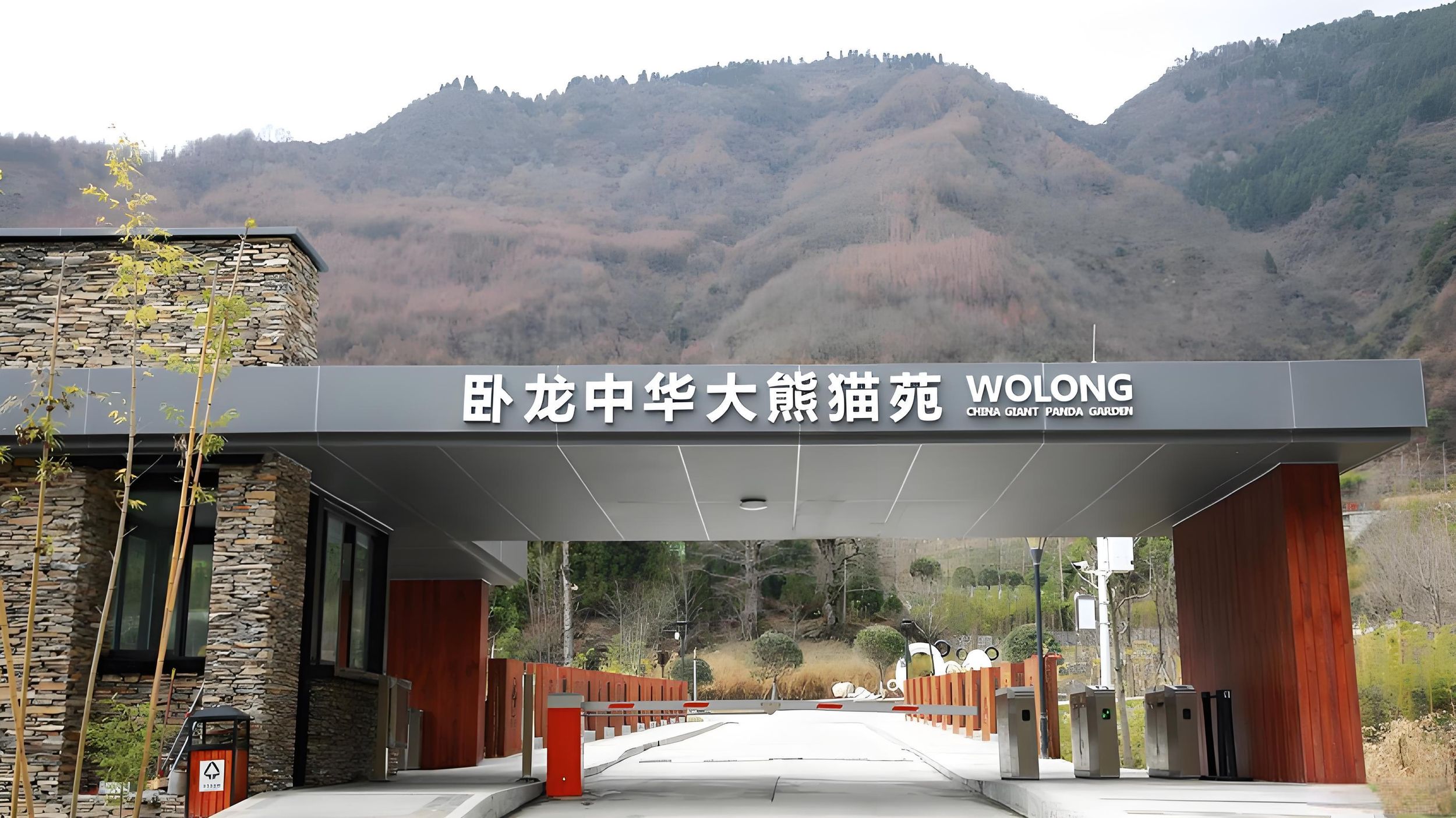 Dujiangyan: Wolong Shenshuping Panda Garden-Ticket