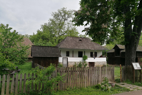 Rondleiding Dorpsmuseum Boekarest