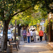 Hahndorf: Guided Walking Tour with Coffee and Cake