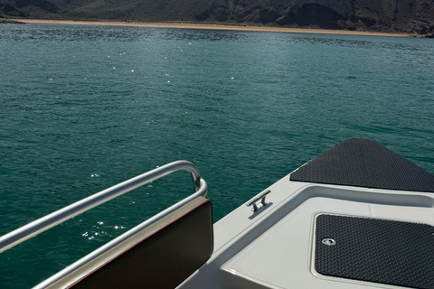Muscat: Dolphin Watching and Snorkeling Tour Muscat: Dolphin Watching and Snorkeling Tour