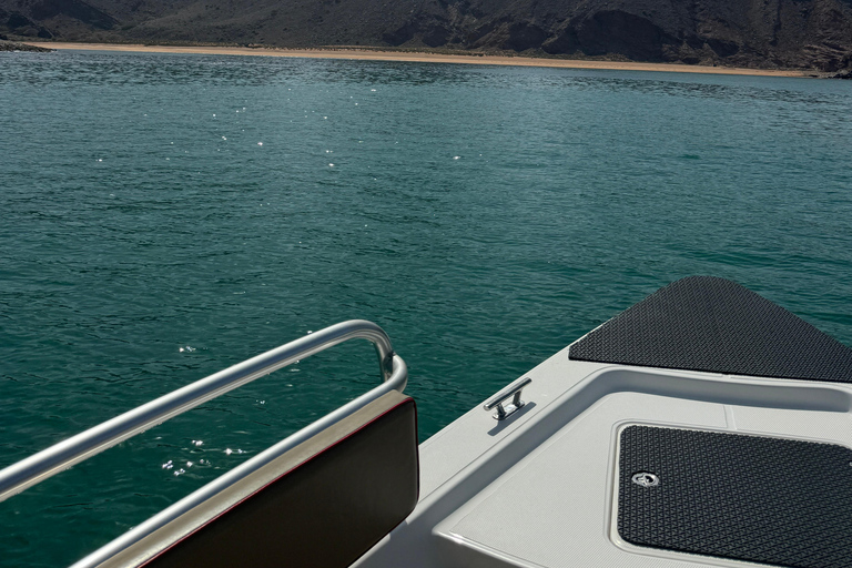 Muscat: Dolphin Watching and Snorkeling Tour Muscat: Dolphin Watching and Snorkeling Tour